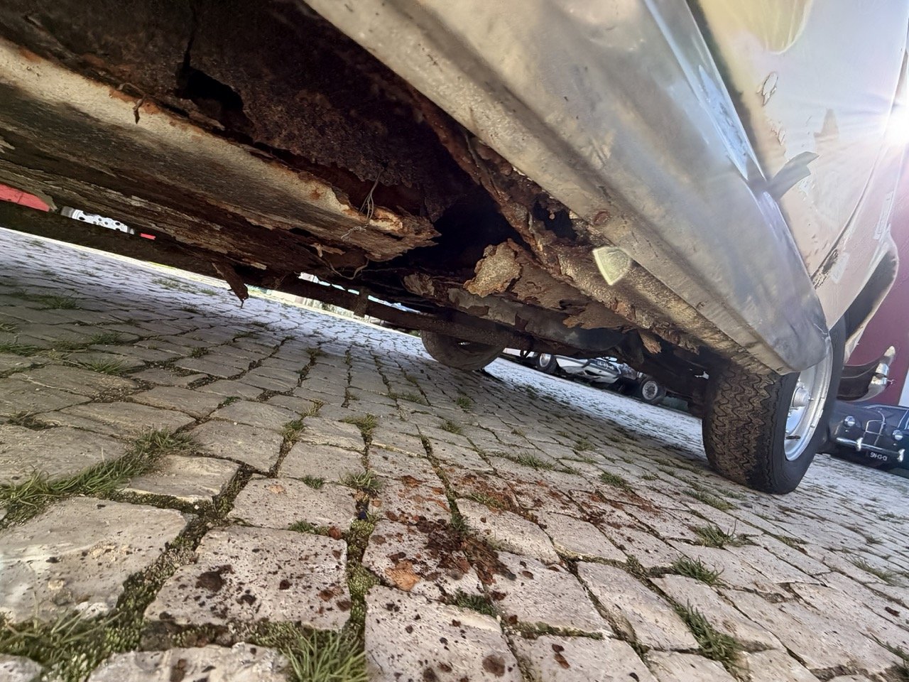 IMG_7070 – grande.jpeg