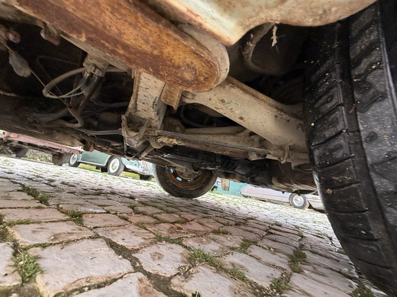 IMG_4869 – grande.jpeg