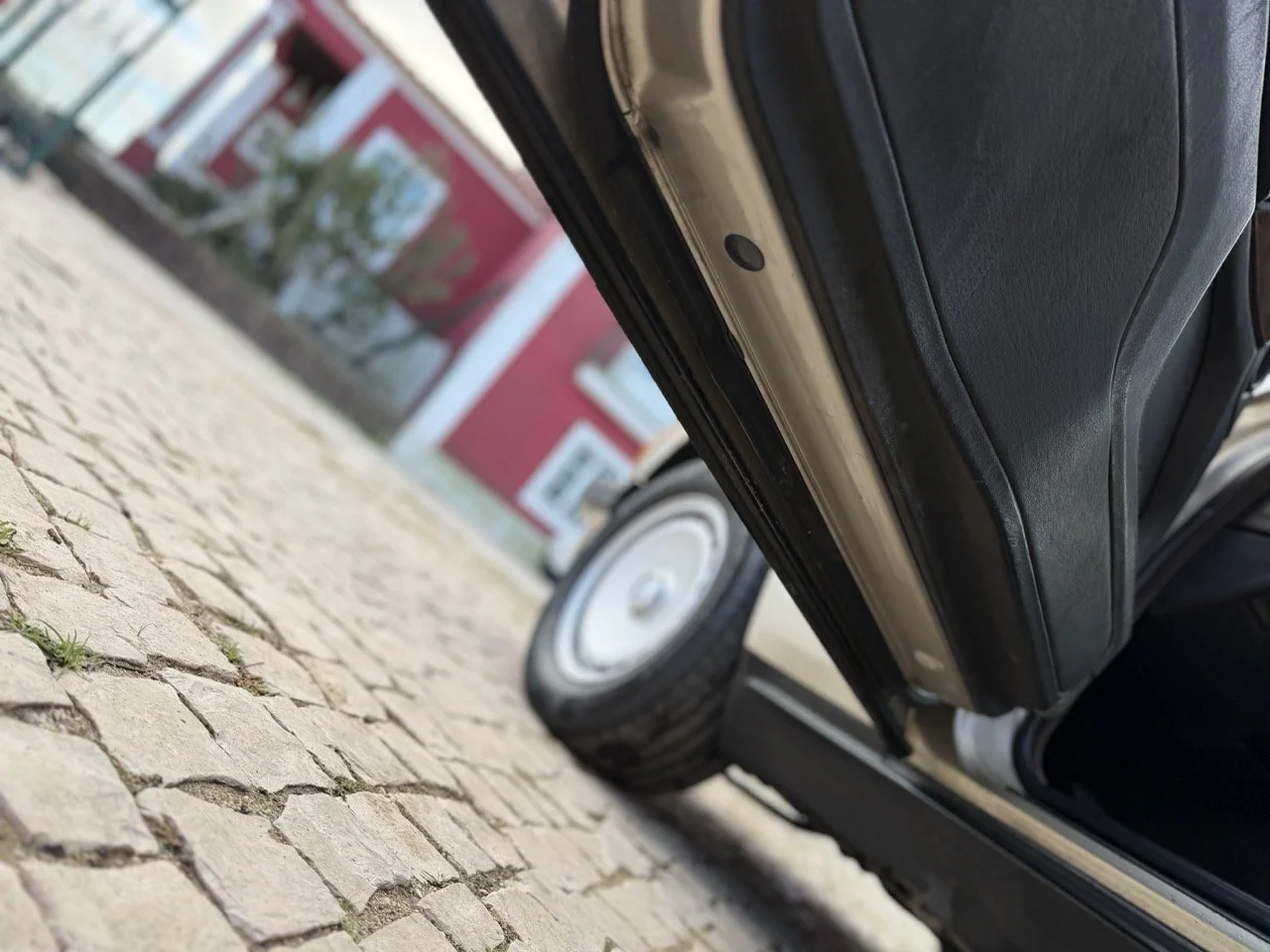 IMG_6910 2 – grande.jpeg