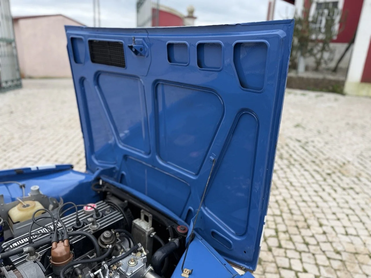 IMG_6039 – grande.jpeg