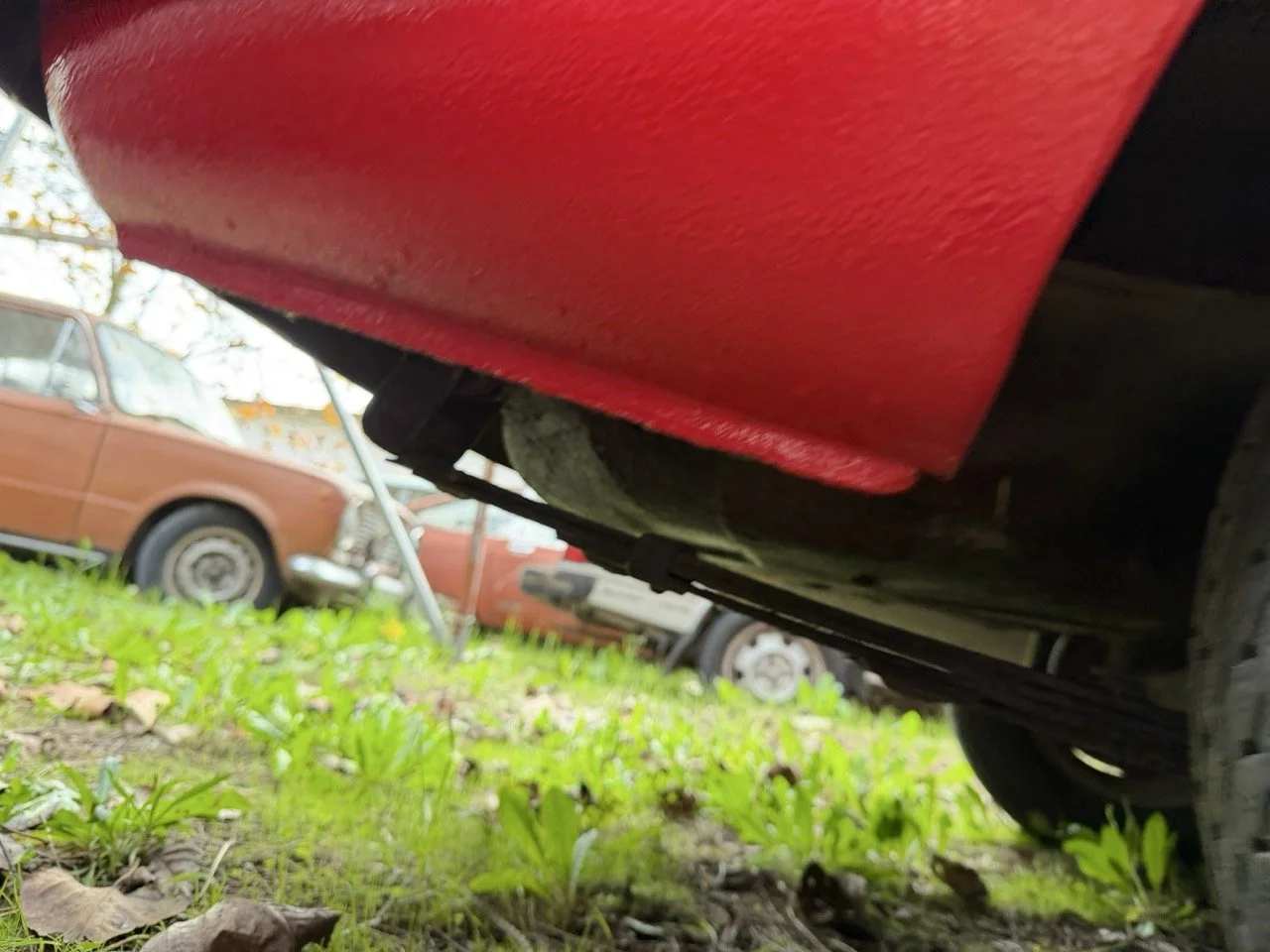 IMG_4946 – grande.jpeg