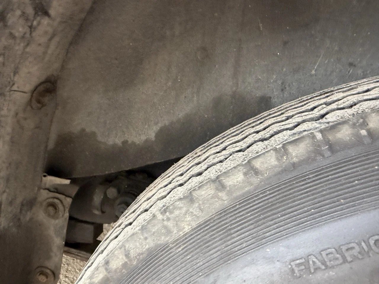 IMG_1563 – grande.jpeg