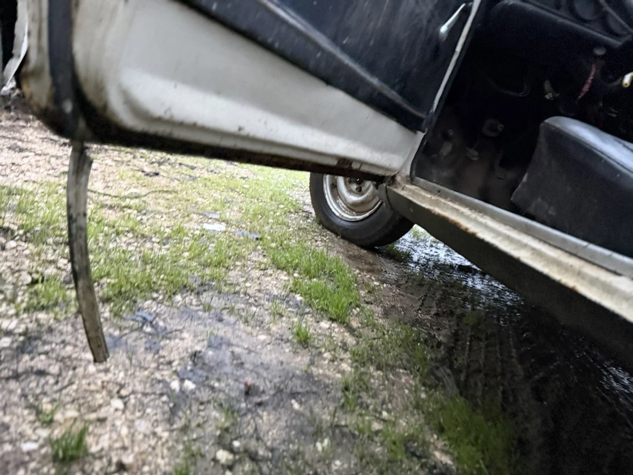 IMG_0121 – grande.jpeg