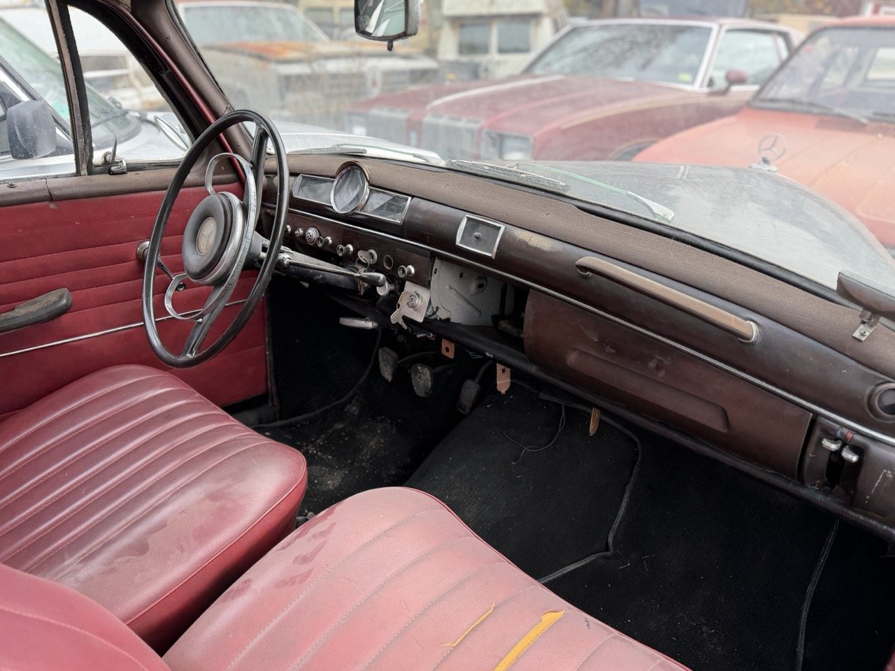 IMG_5014 – grande.jpeg