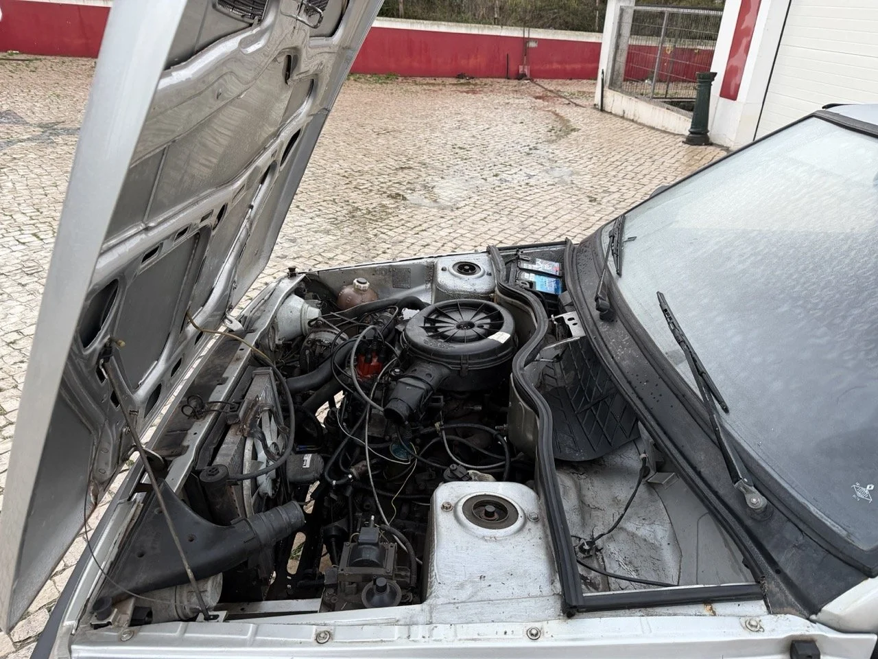 IMG_4731 3 – grande.jpeg