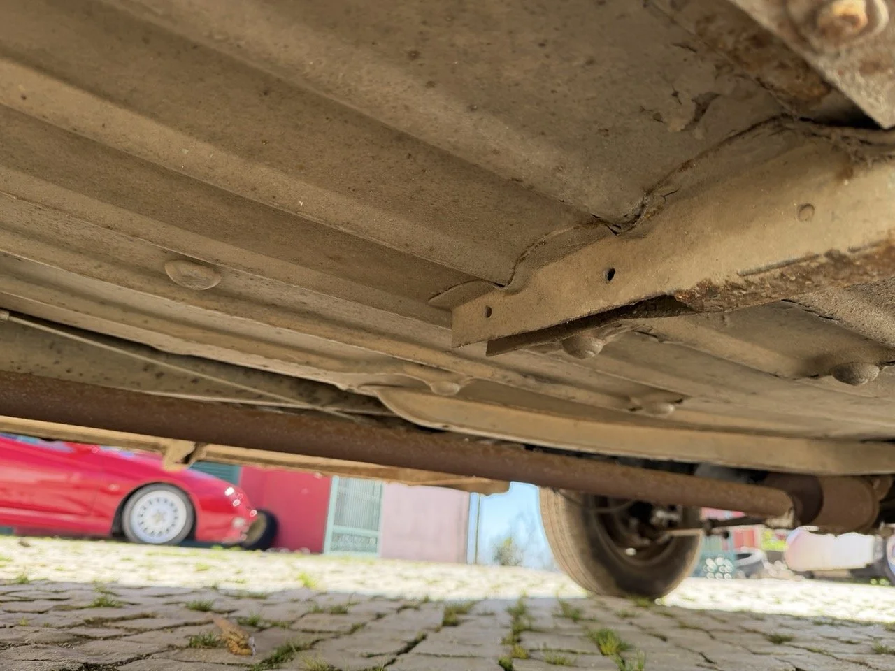 IMG_6750 – grande.jpeg