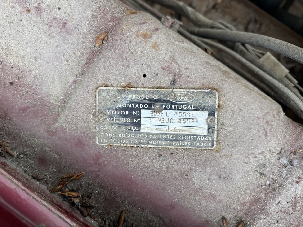 IMG_8960 – grande.jpeg