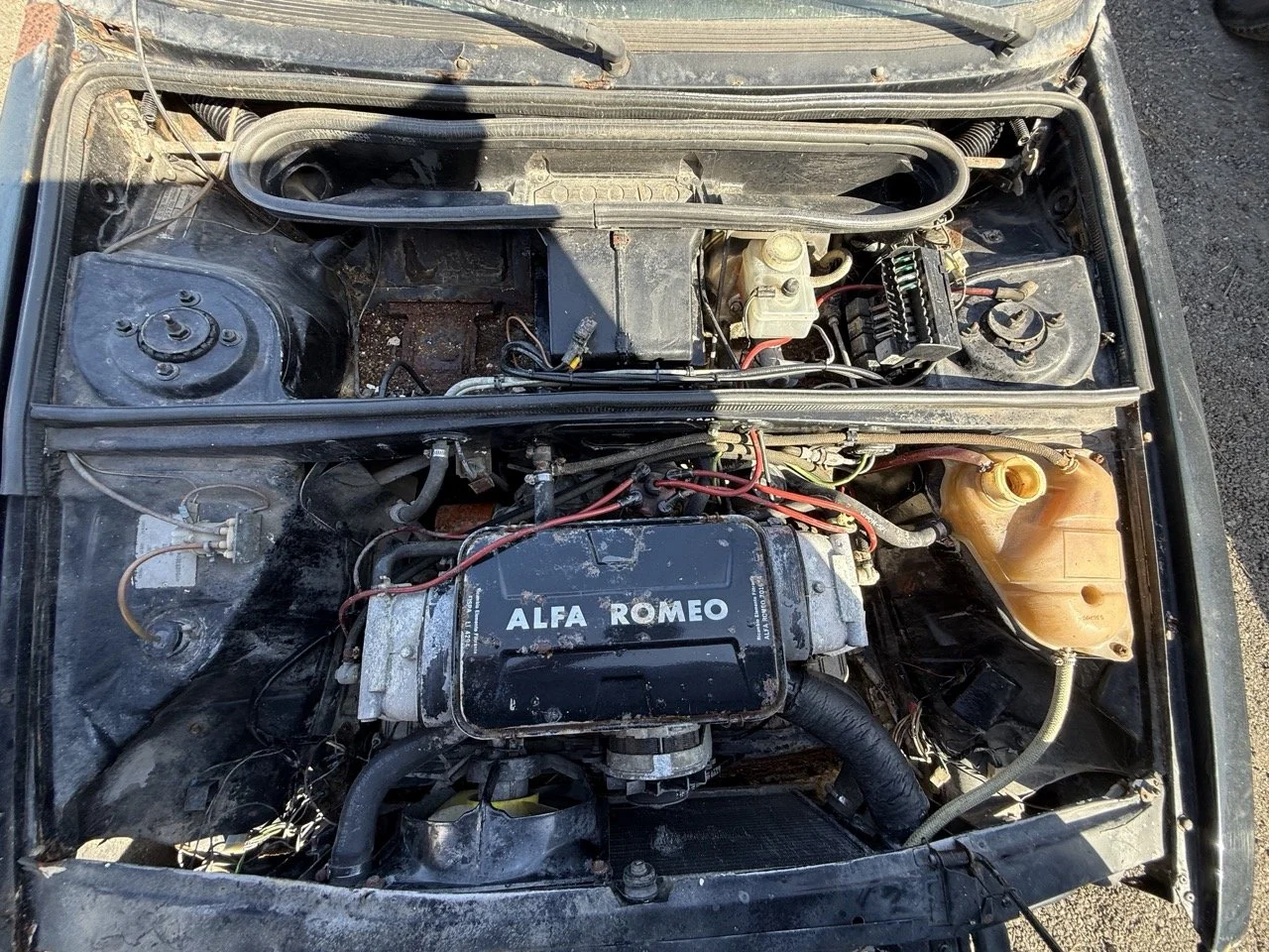 IMG_2940 – grande.jpeg