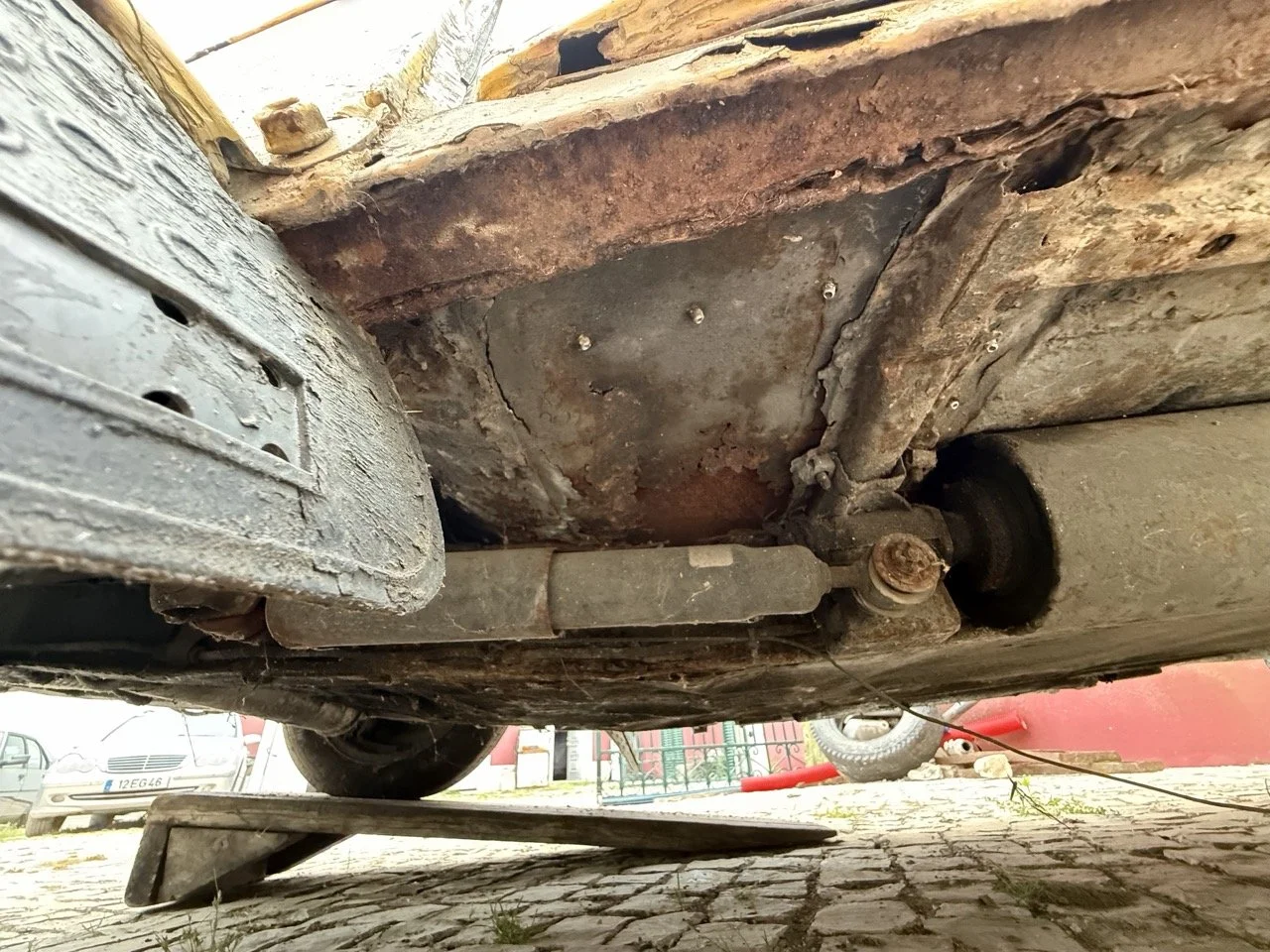 IMG_3819 – grande.jpeg