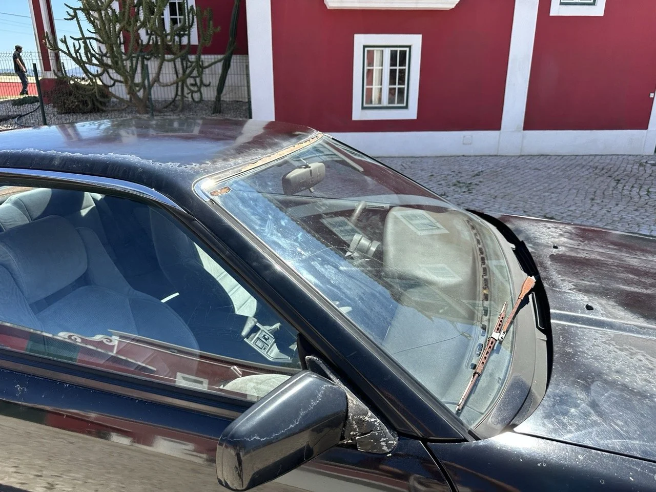 IMG_3146 – grande.jpeg