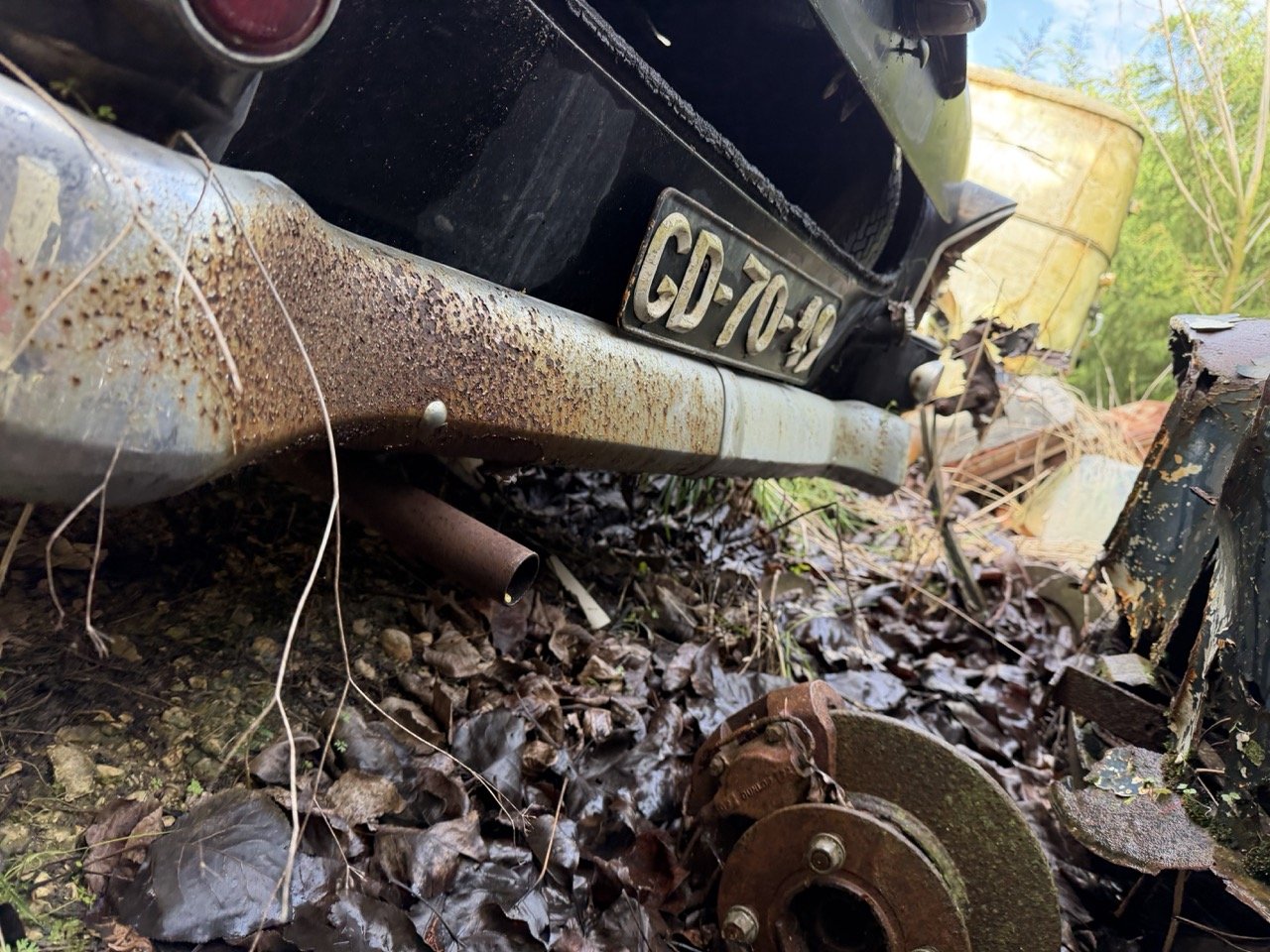 IMG_5074 – grande.jpeg