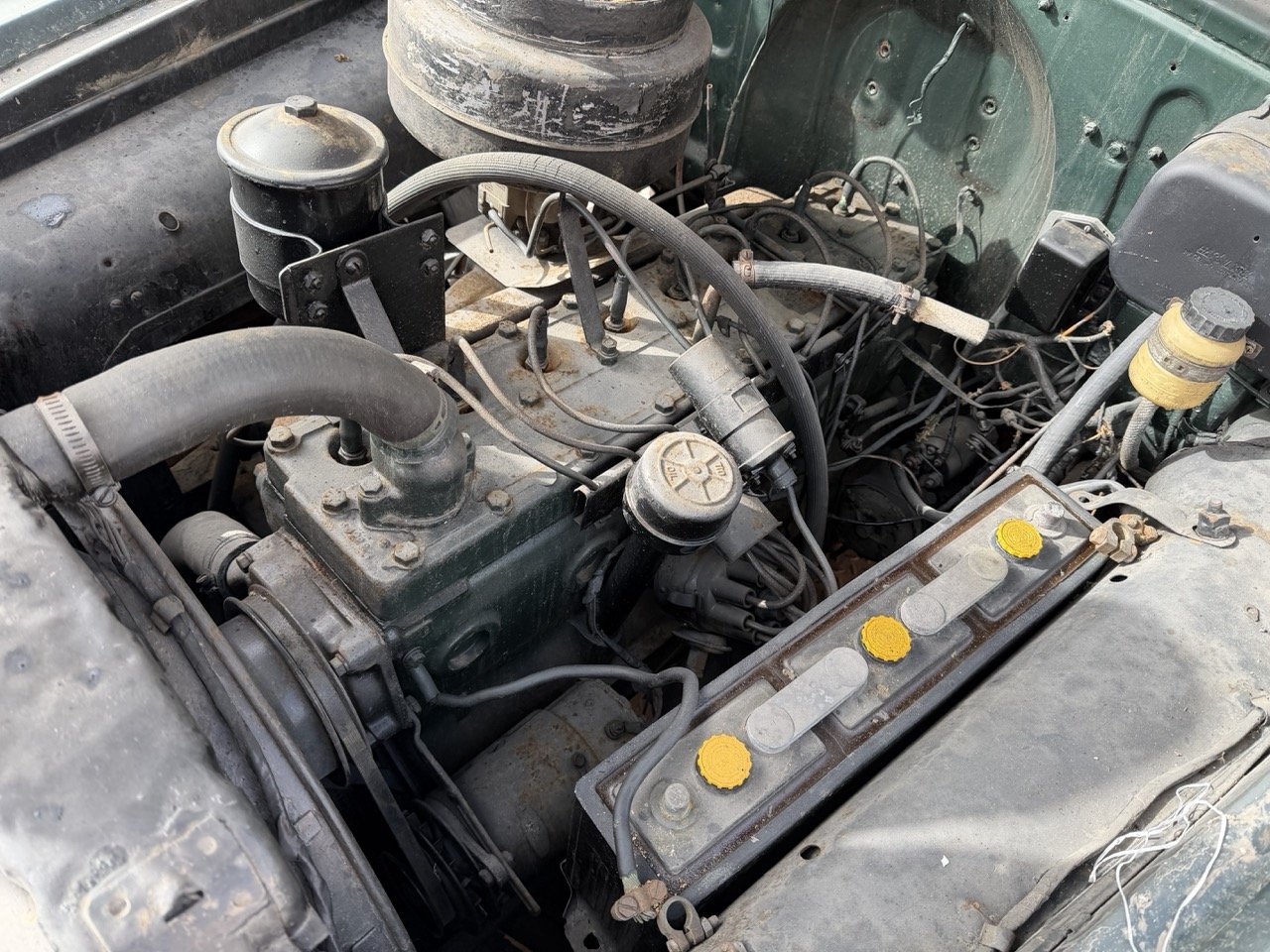 IMG_1794 – grande.jpeg