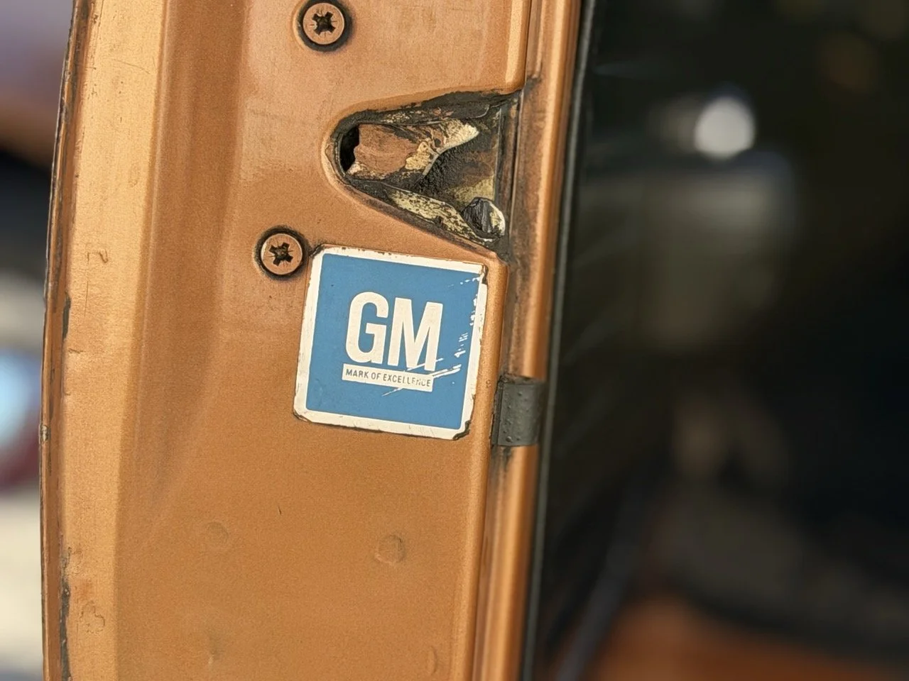 IMG_2358 – grande.jpeg