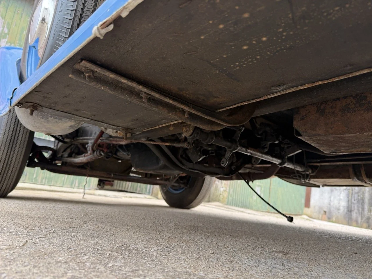 IMG_1567 – grande.jpeg