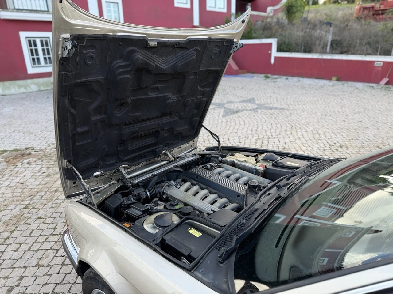 IMG_6968 2 – grande.jpeg