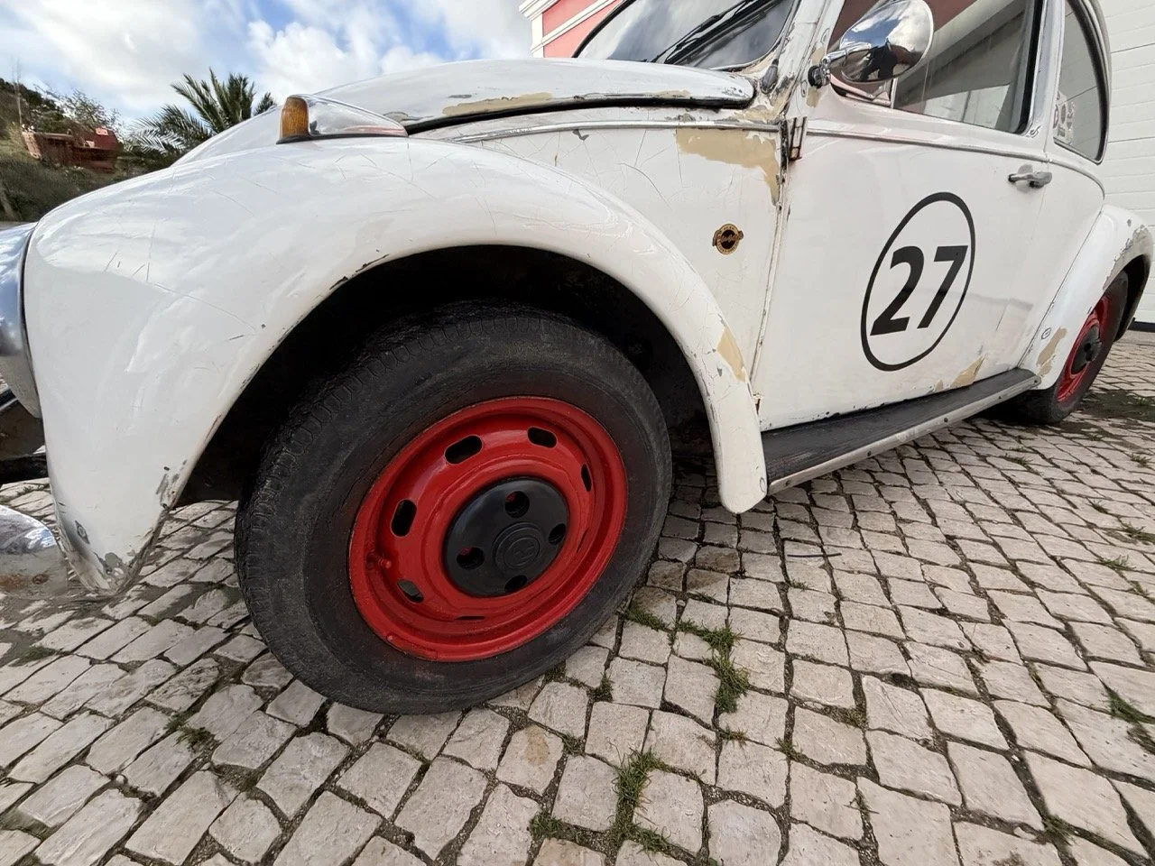 IMG_8681 – grande.jpeg