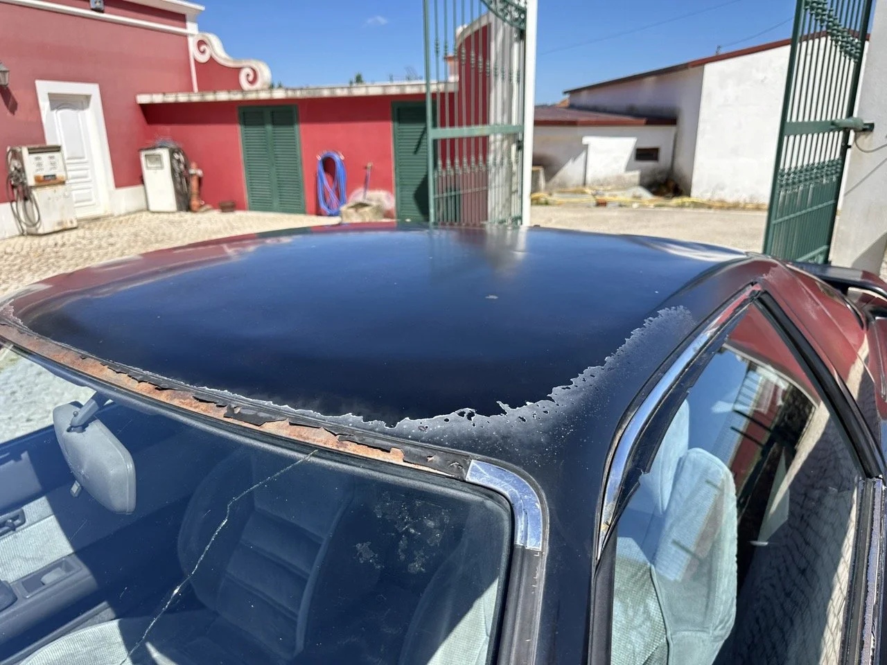 IMG_3108 – grande.jpeg