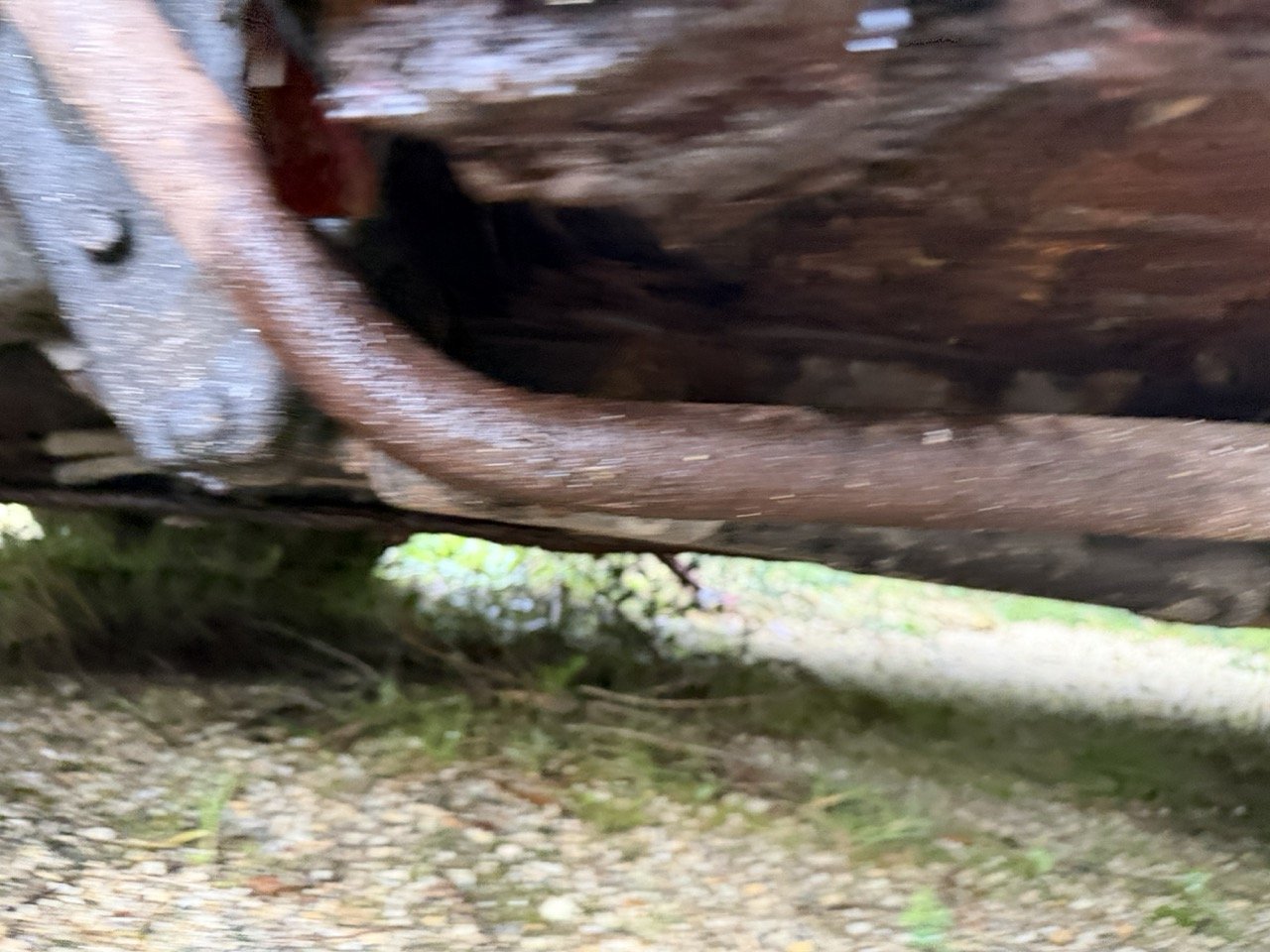 IMG_5512 – grande.jpeg