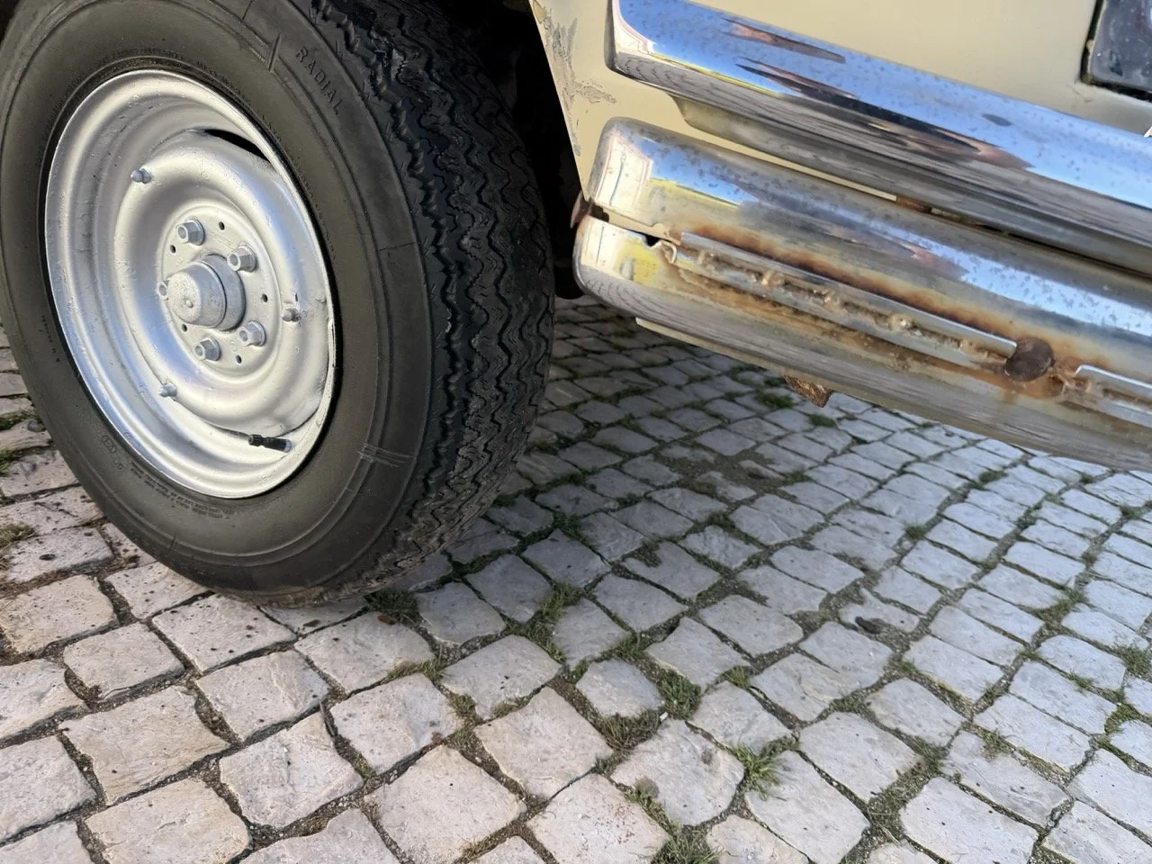 IMG_7062 – grande.jpeg