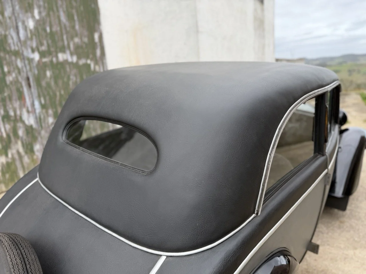 IMG_1456 – grande.jpeg