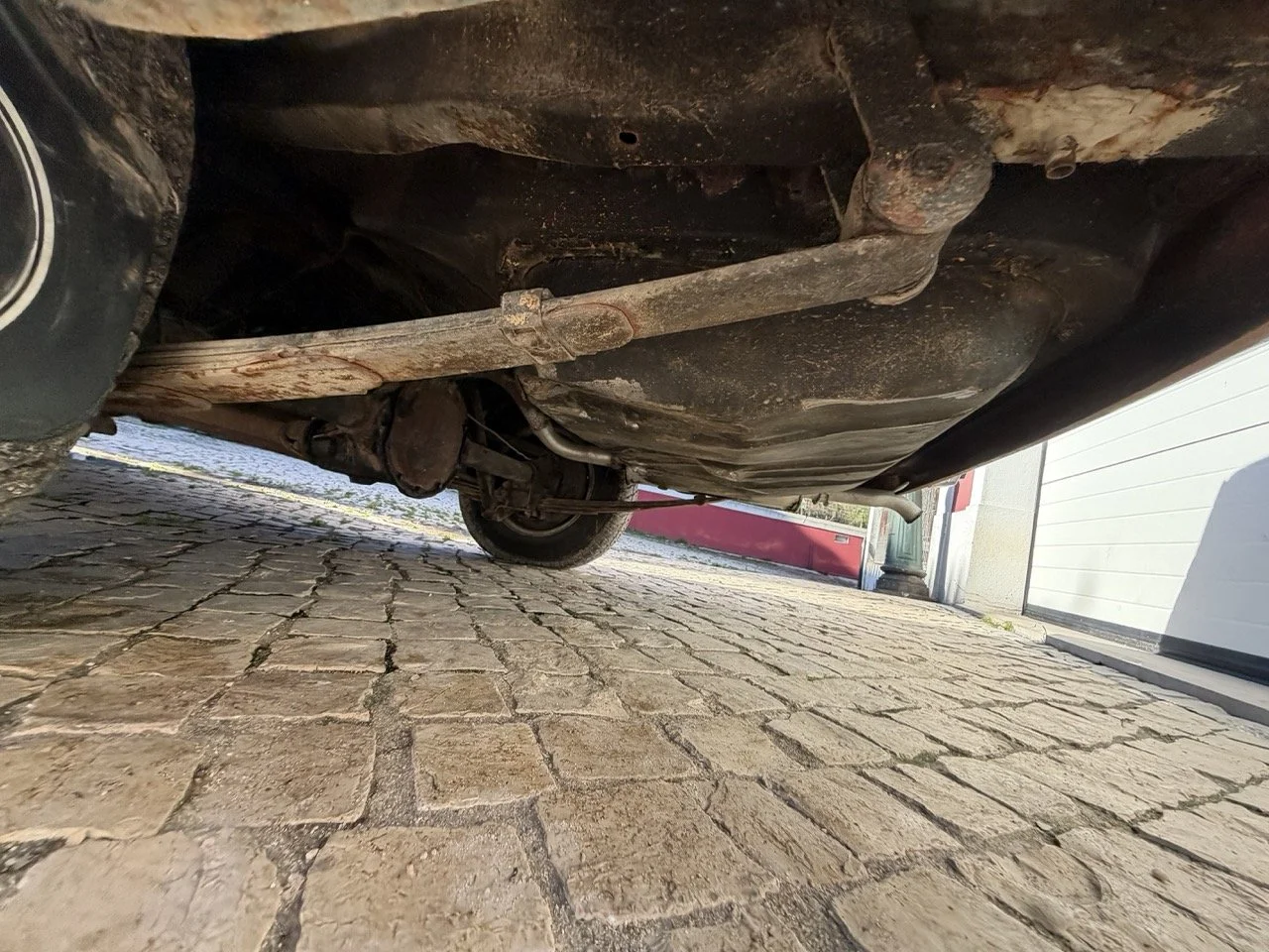 IMG_1903 – grande.jpeg