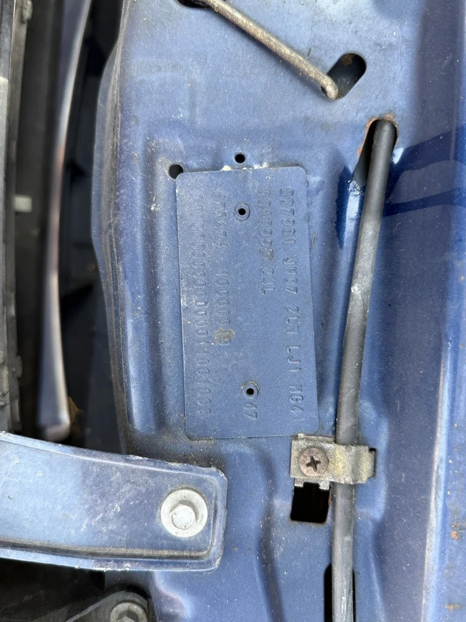 IMG_2436 – grande.jpeg