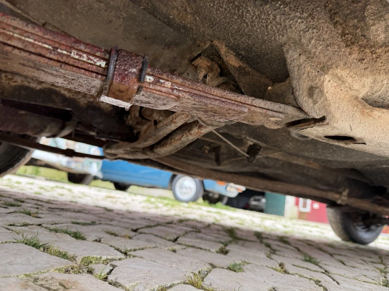 IMG_9669 – grande.jpeg