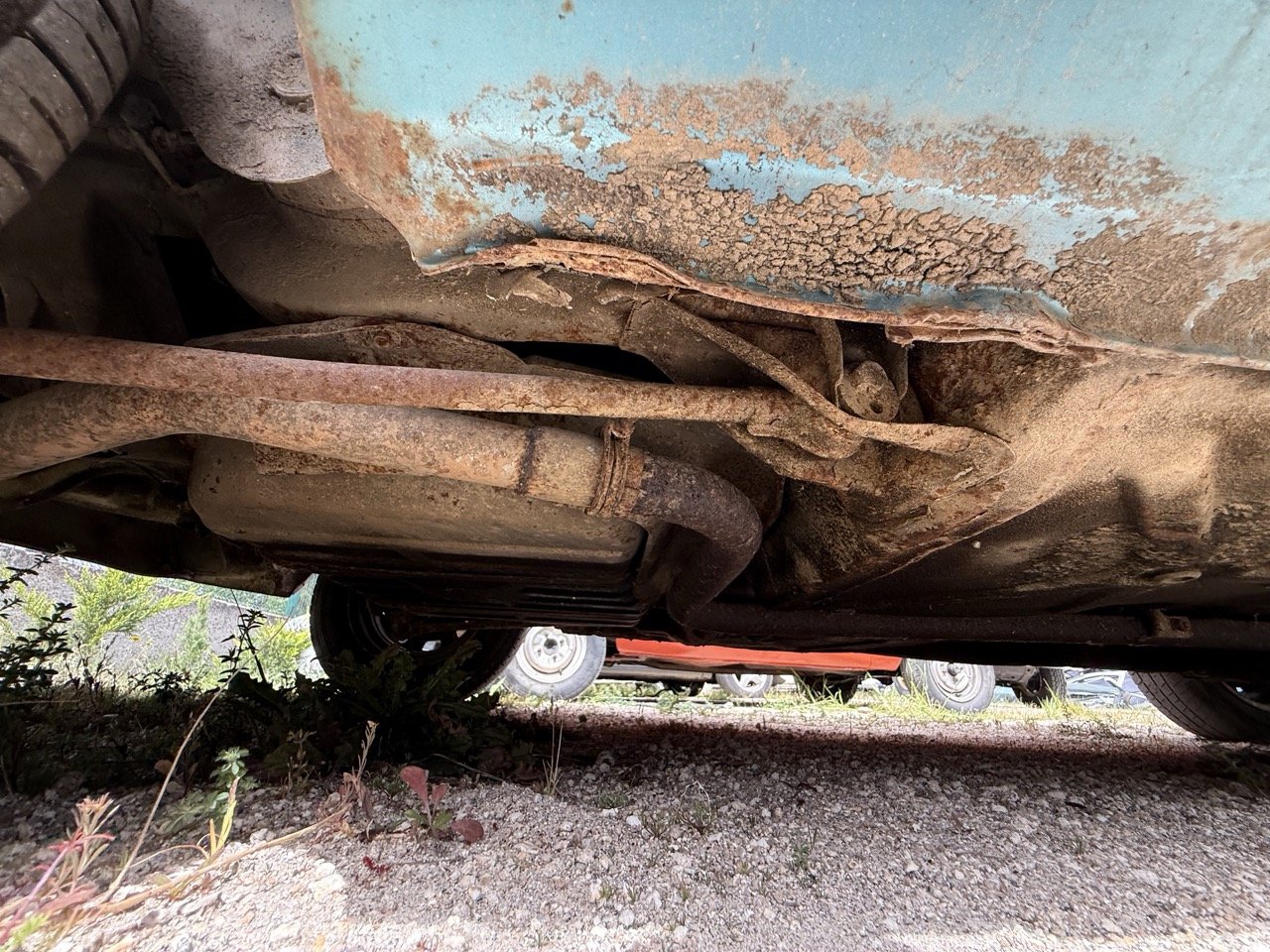 IMG_1569 – grande.jpeg