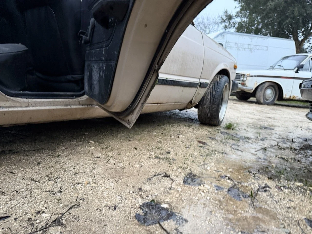 IMG_0224 – grande.jpeg