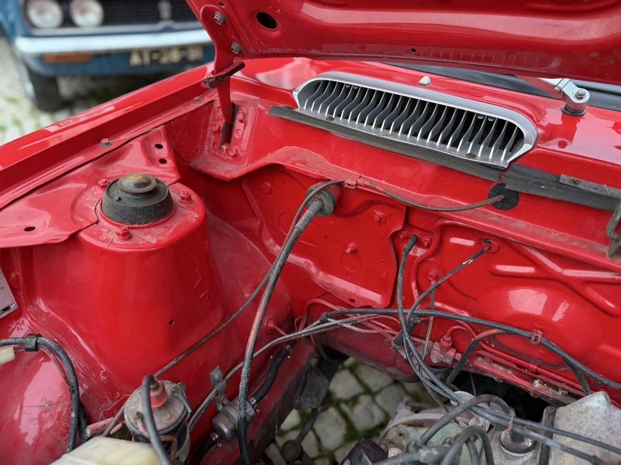 IMG_8260 – grande.jpeg