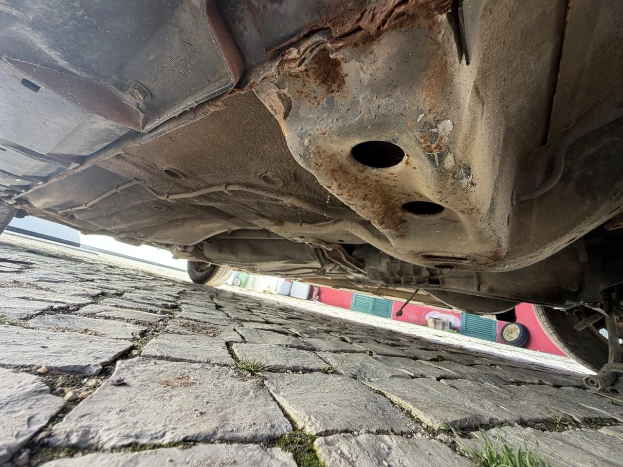 IMG_2824 – grande.jpeg