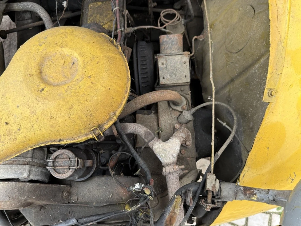 IMG_3832 – grande.jpeg