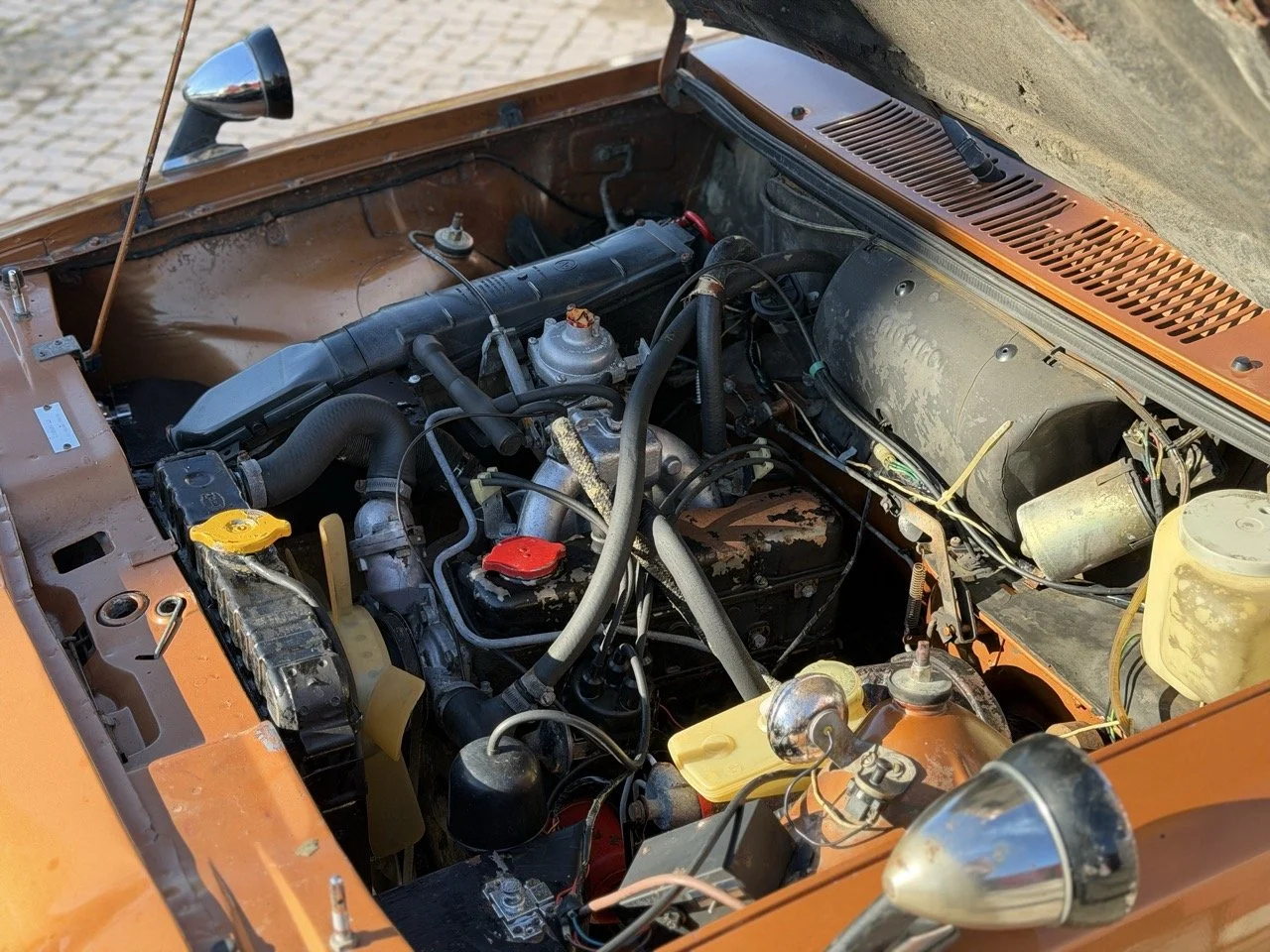 IMG_2395 – grande.jpeg