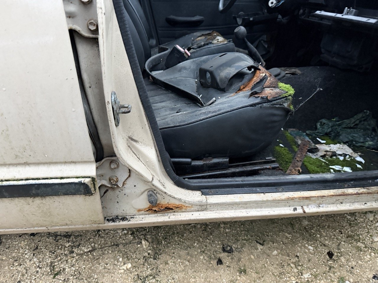 IMG_0221 – grande.jpeg