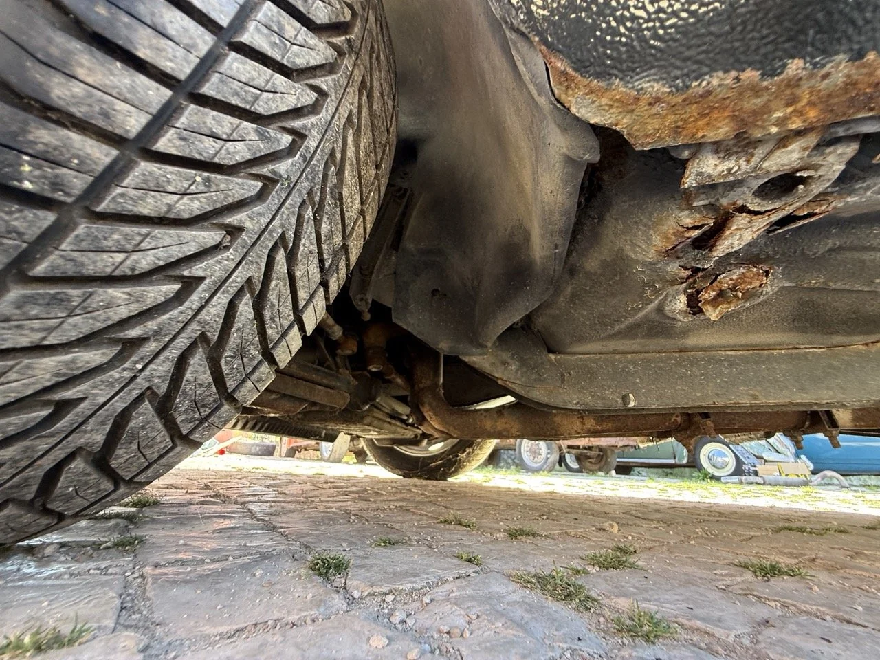 IMG_2243 – grande.jpeg