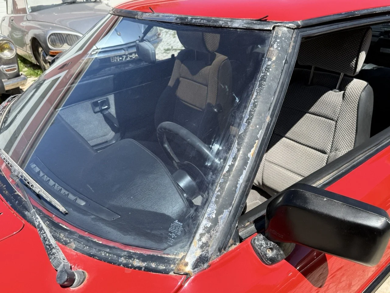 IMG_2128 – grande.jpeg