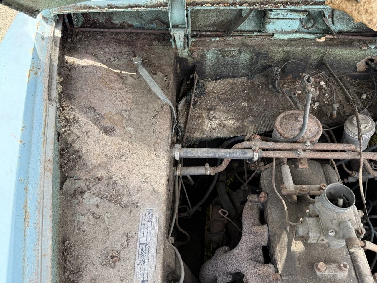 IMG_1437 – grande.jpeg