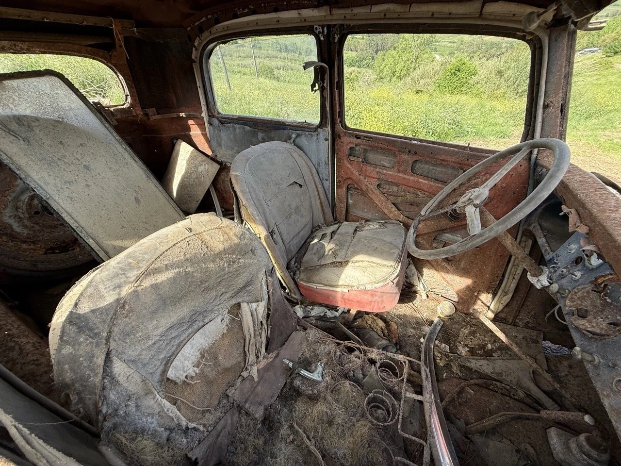 IMG_0368 – grande.jpeg