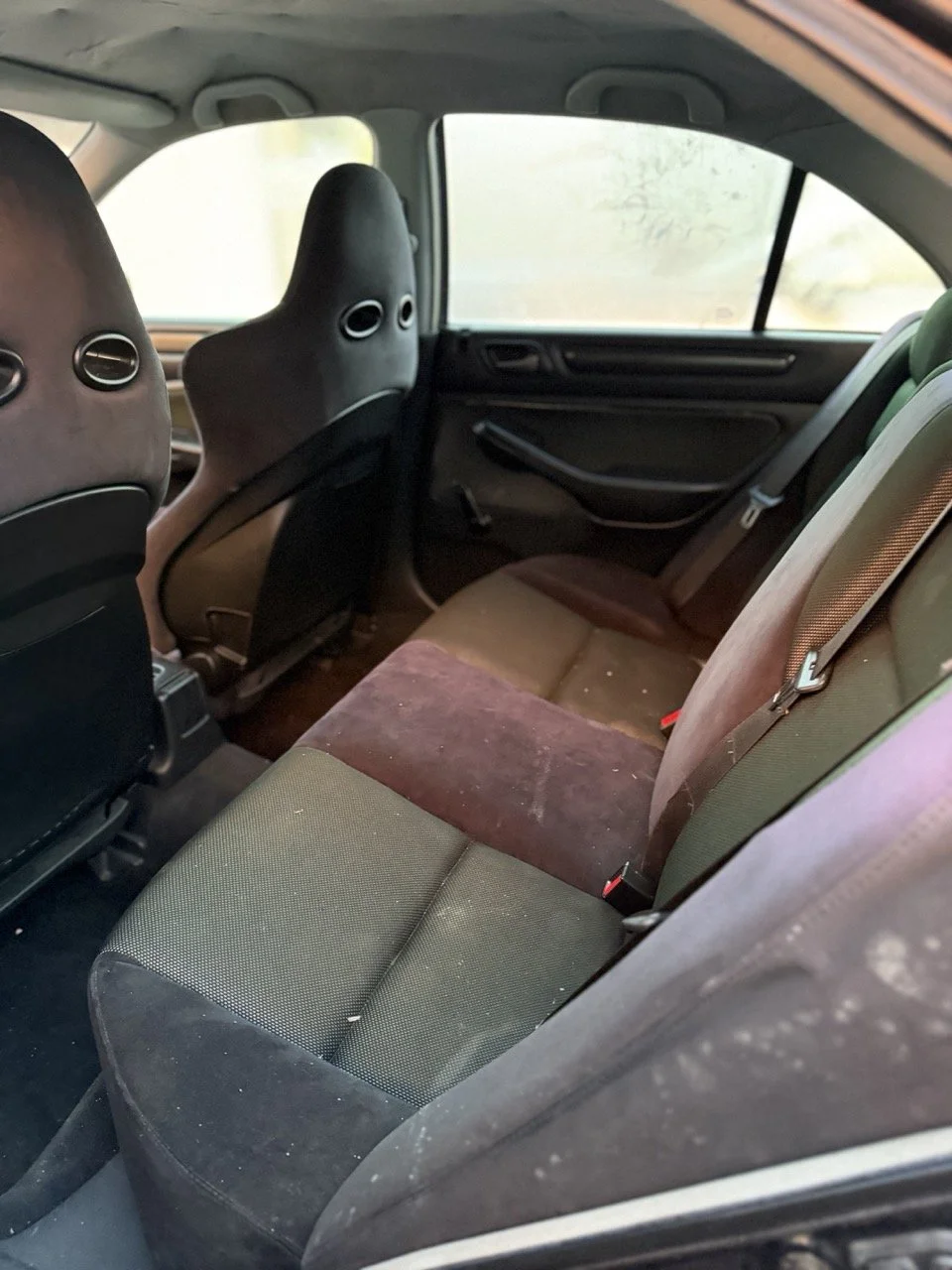 IMG_3744 – grande.jpeg