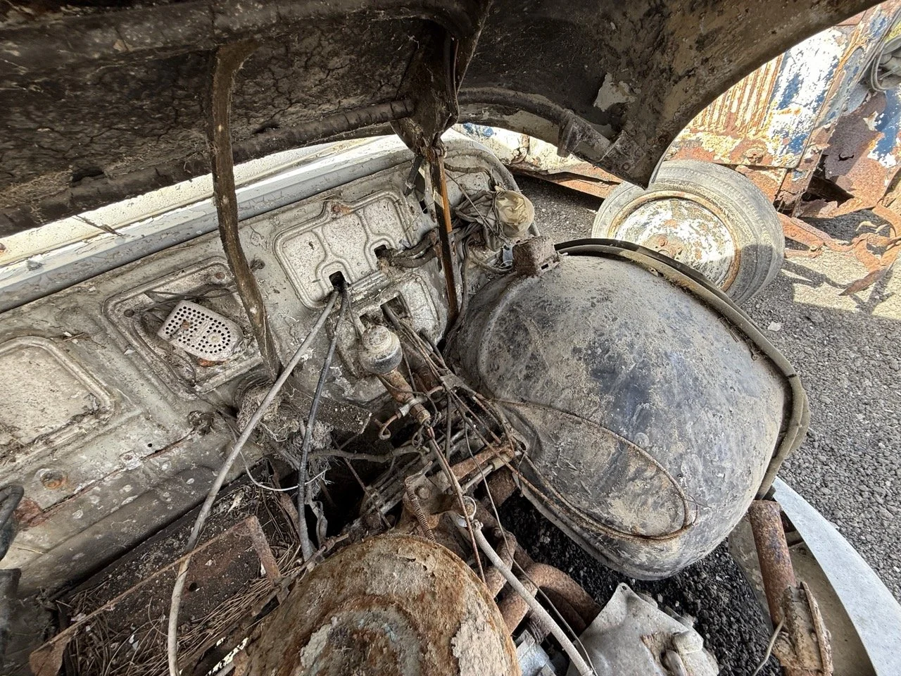 IMG_0338 – grande.jpeg