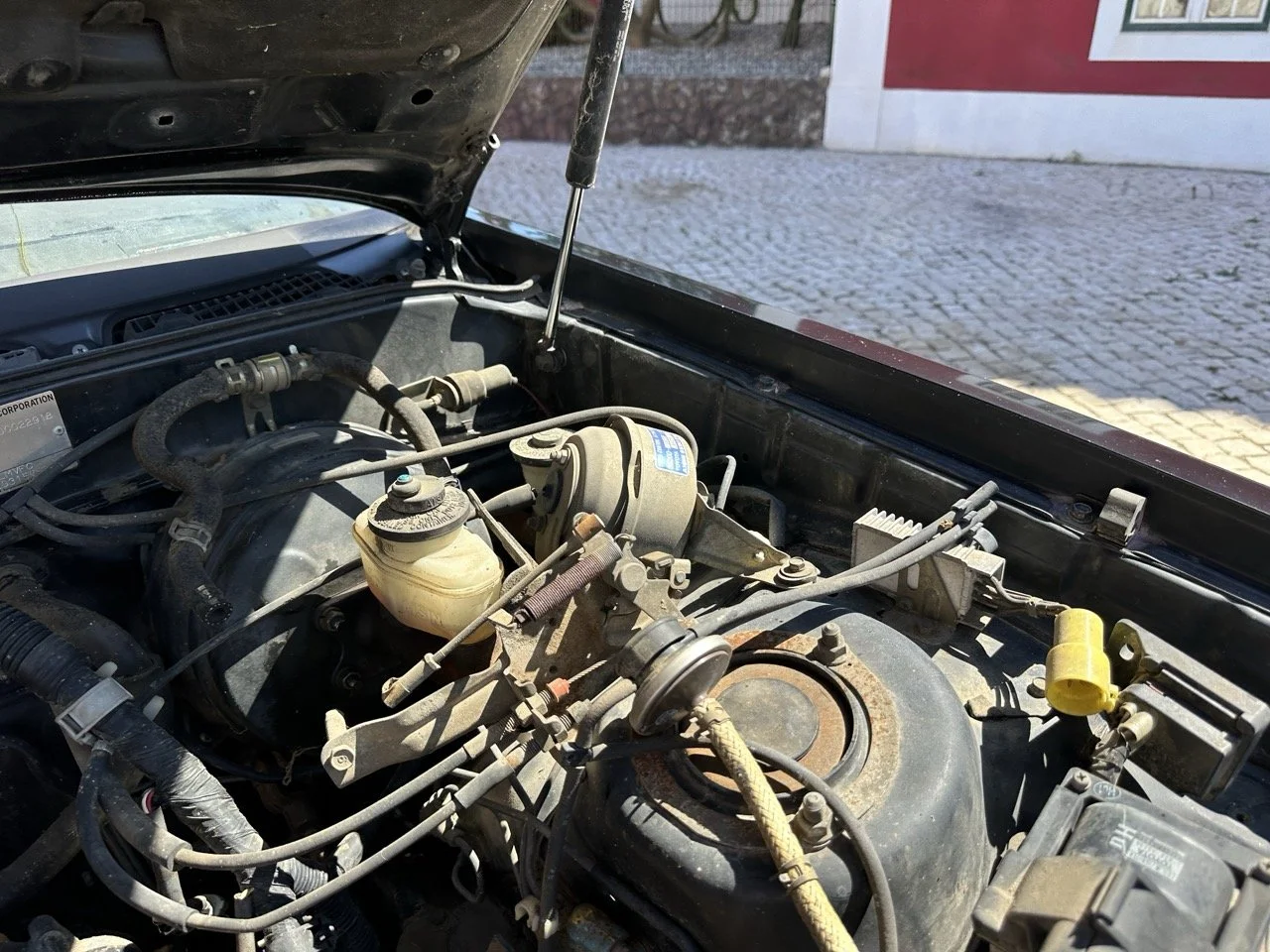 IMG_3077 – grande.jpeg