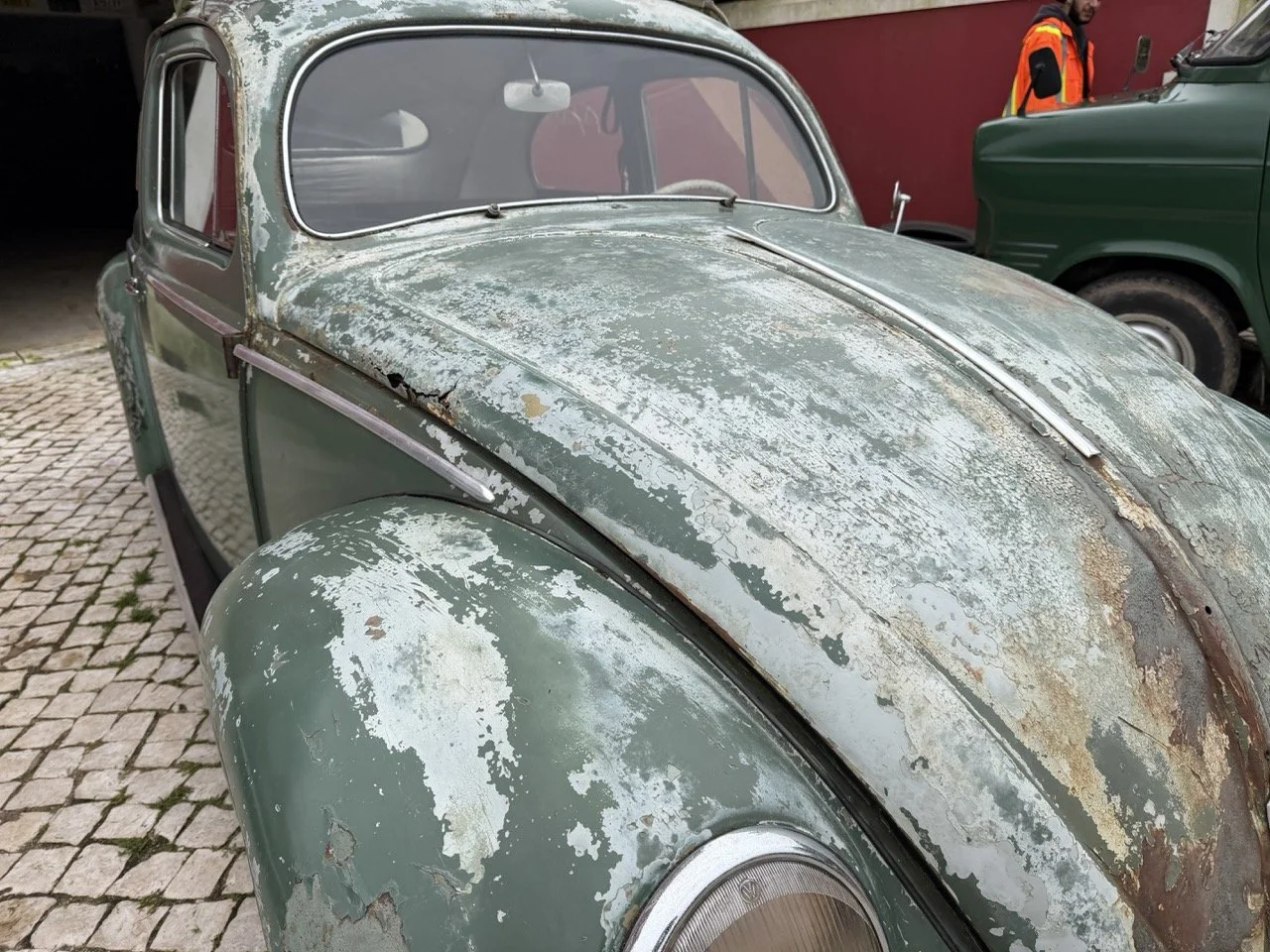 IMG_1208 – grande.jpeg