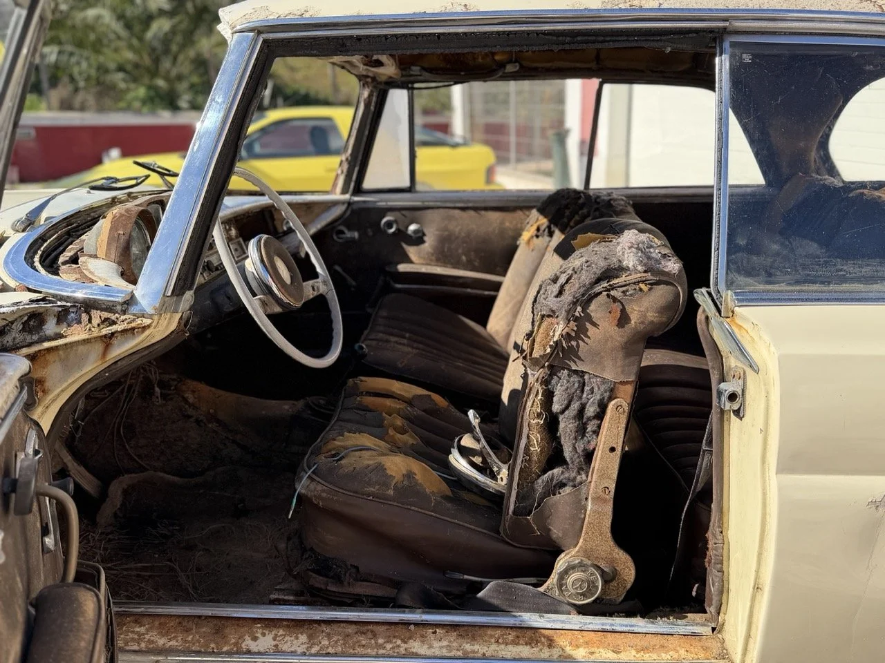 IMG_7011 – grande.jpeg