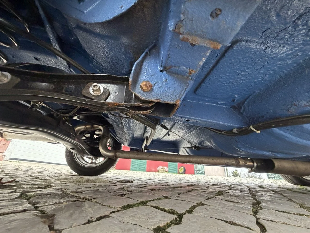 IMG_6128 – grande.jpeg