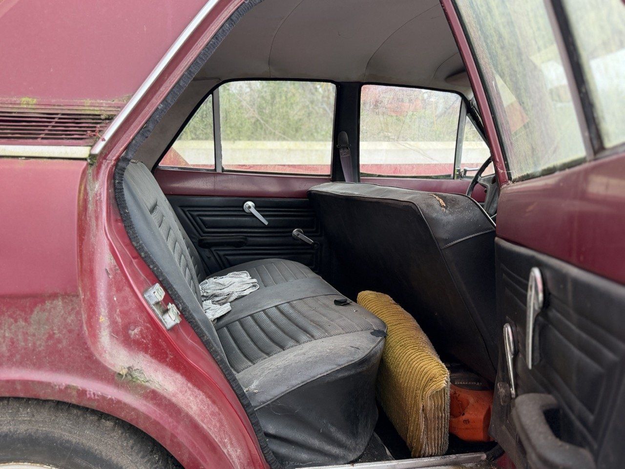 IMG_8975 – grande.jpeg