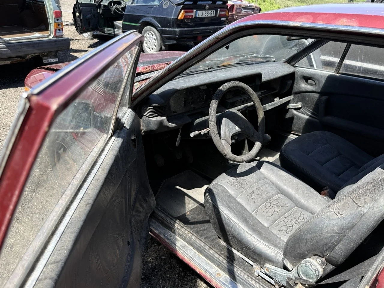 IMG_0931 – grande.jpeg