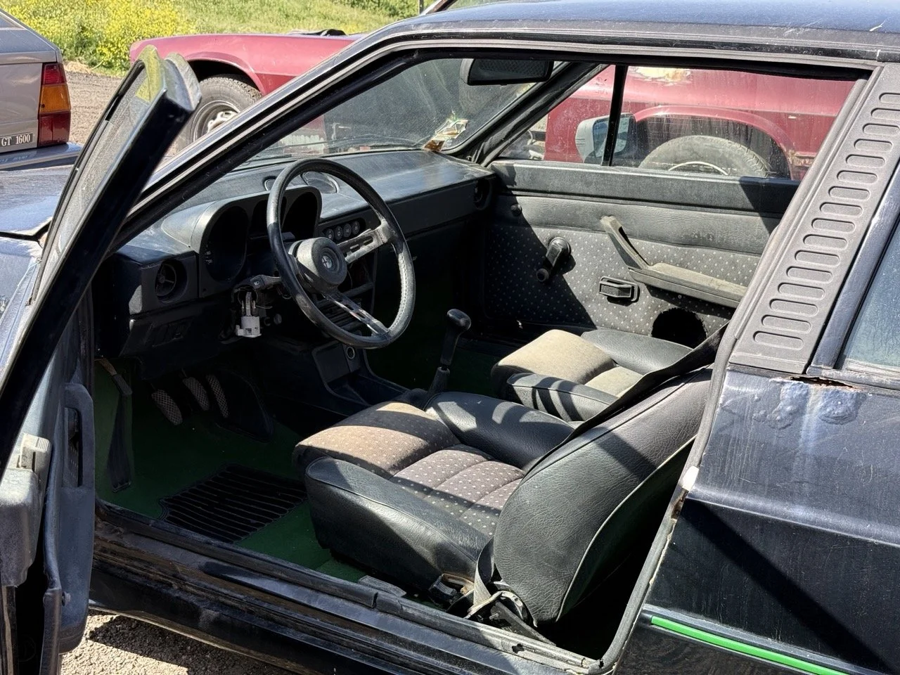 IMG_2895 – grande.jpeg