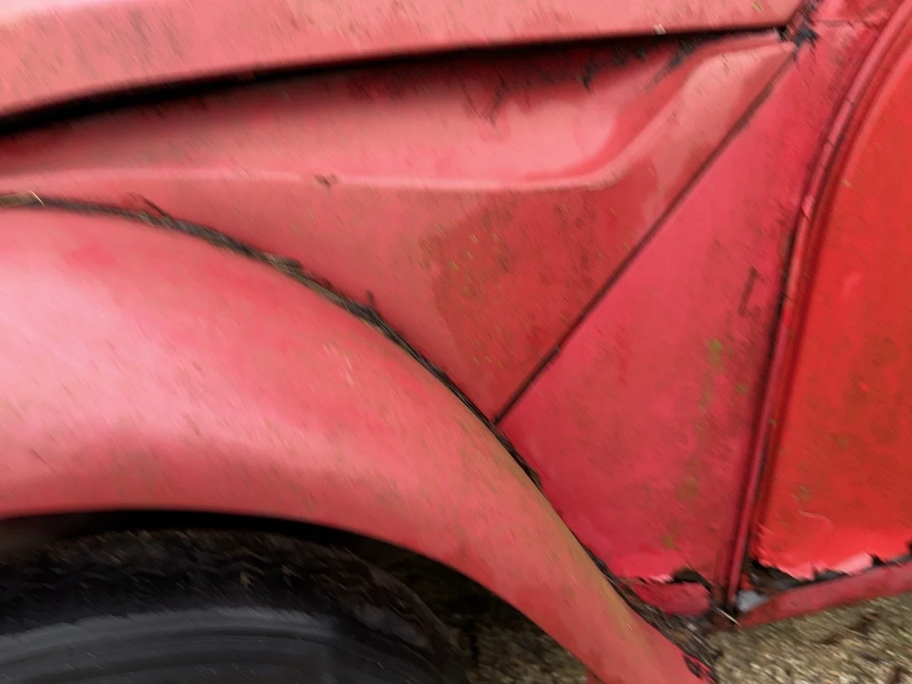 IMG_5491 – grande.jpeg