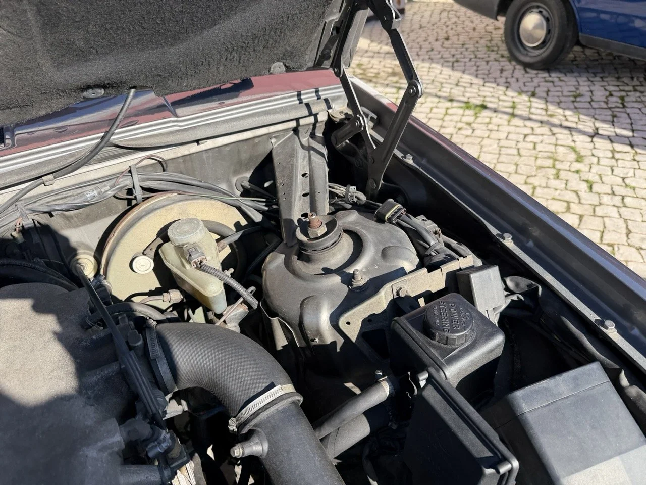 IMG_1988 – grande.jpeg