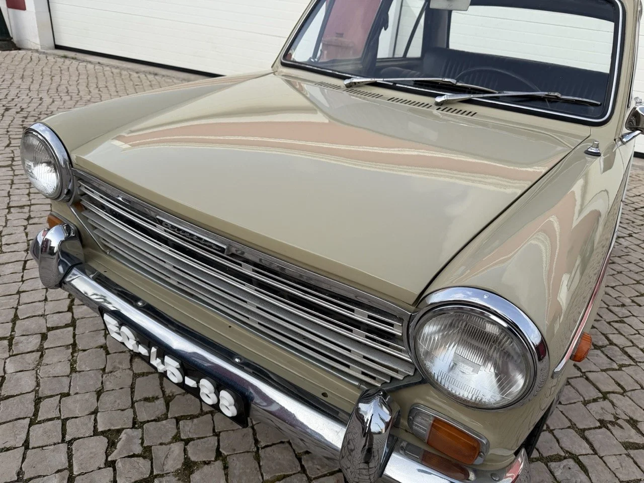 IMG_4105 – grande.jpeg